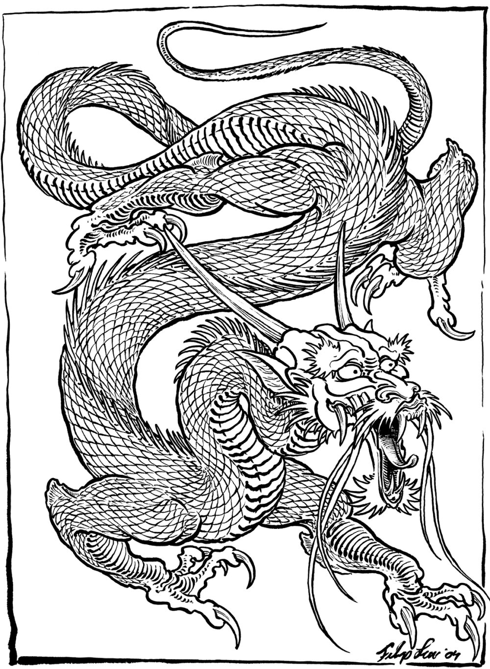 Dragons - The Collection by Filip Leu