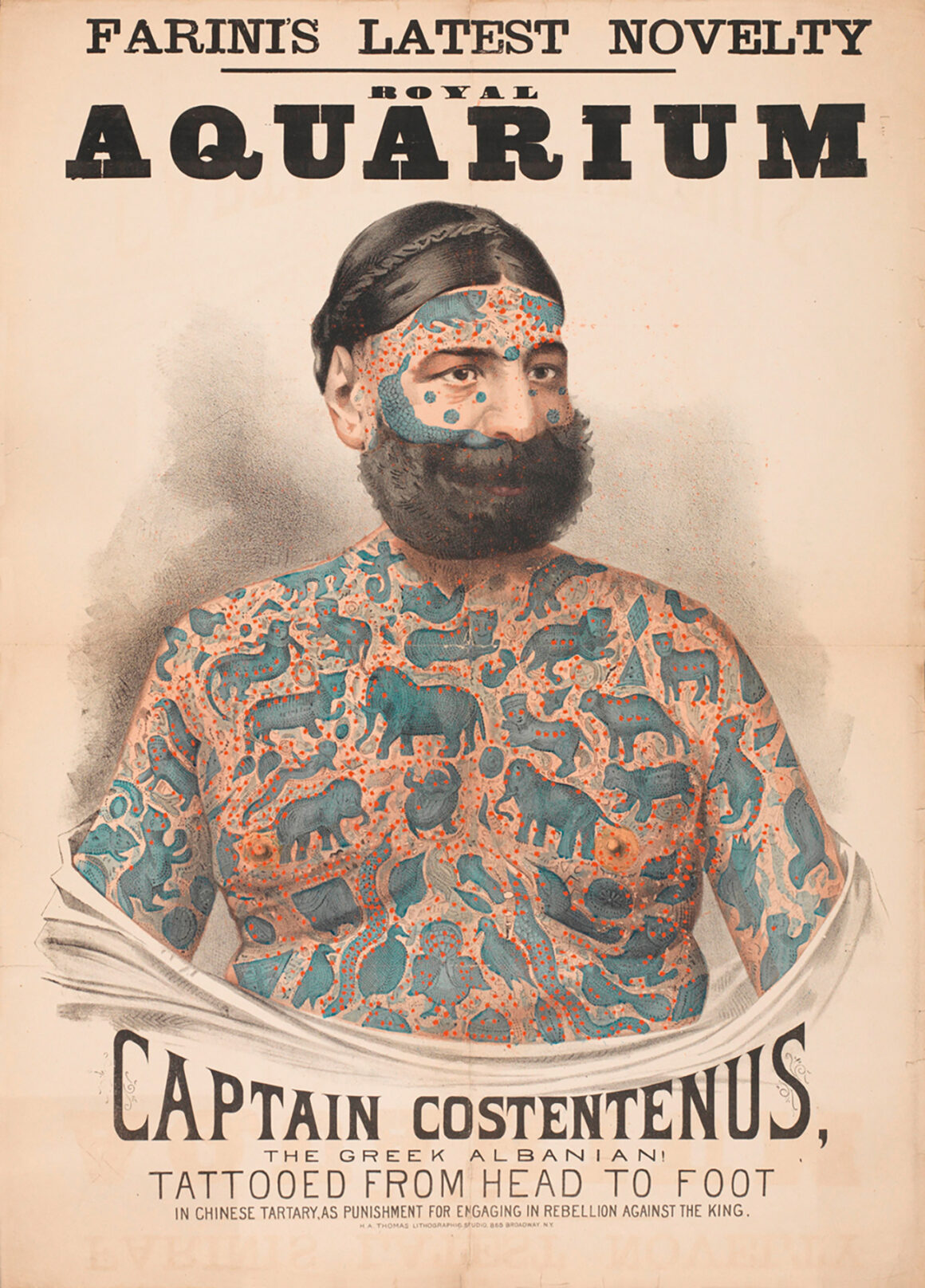 Poster of Captain Costentenus; Image ID: 10.2307/communit
