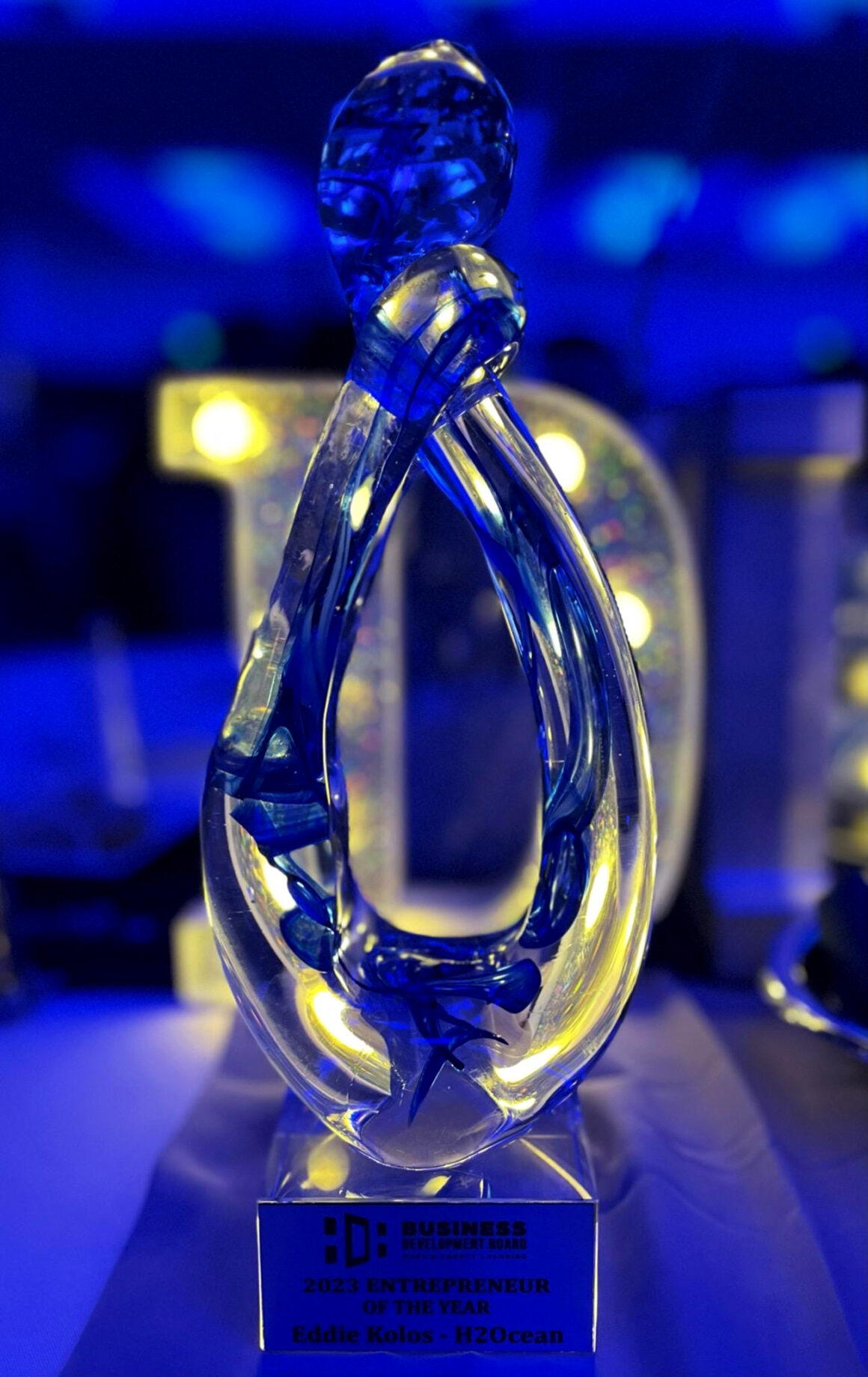Entrepreneur of the year