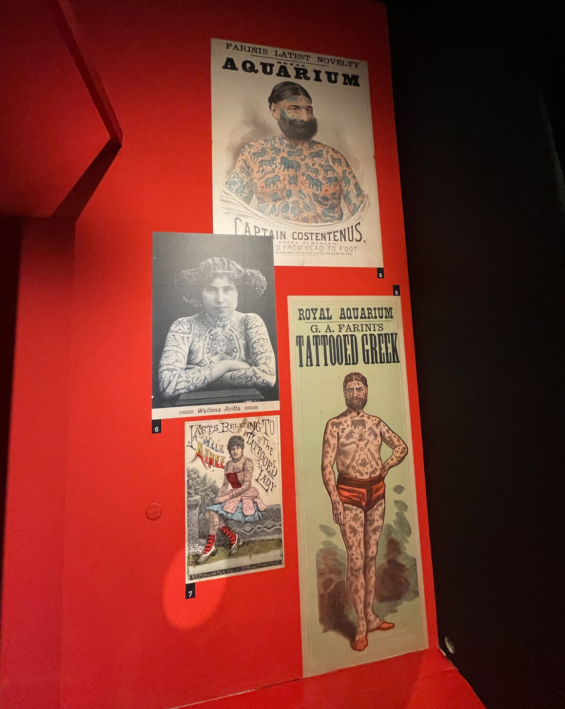 Tattooing. Stories from the Mediterranean