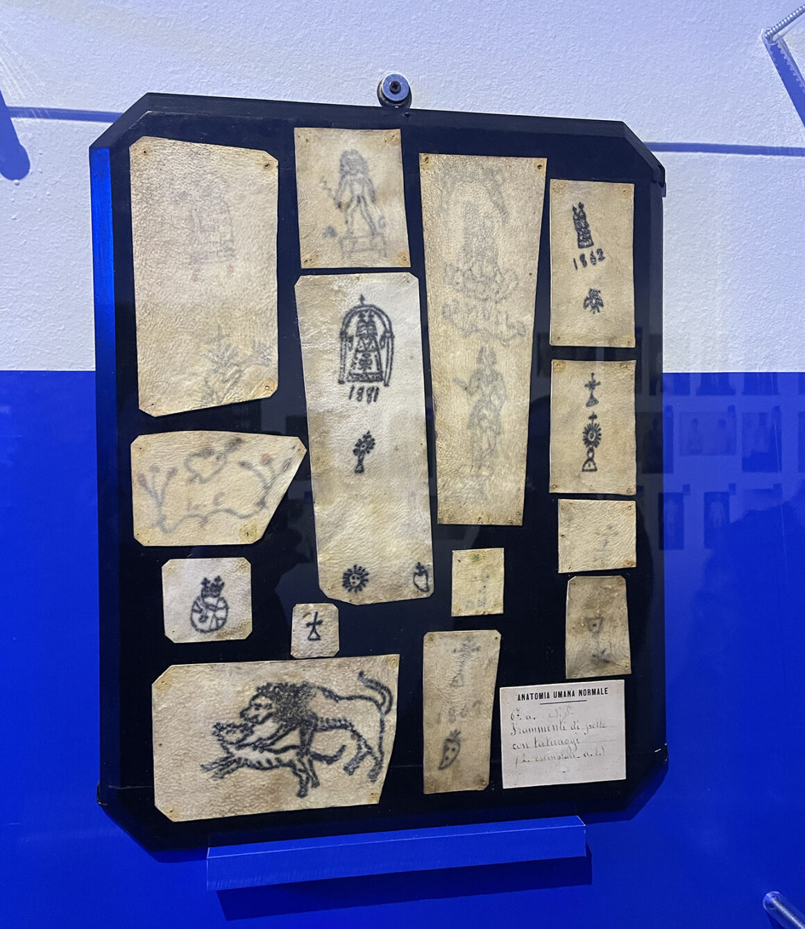 Tattooing. Stories from the Mediterranean