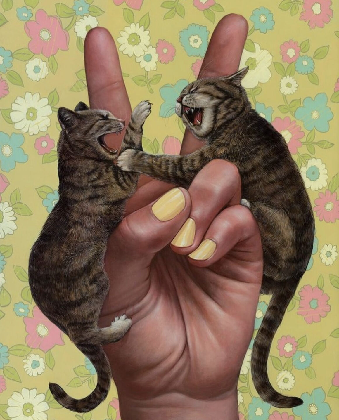 The Cats in Casey Weldon’s head