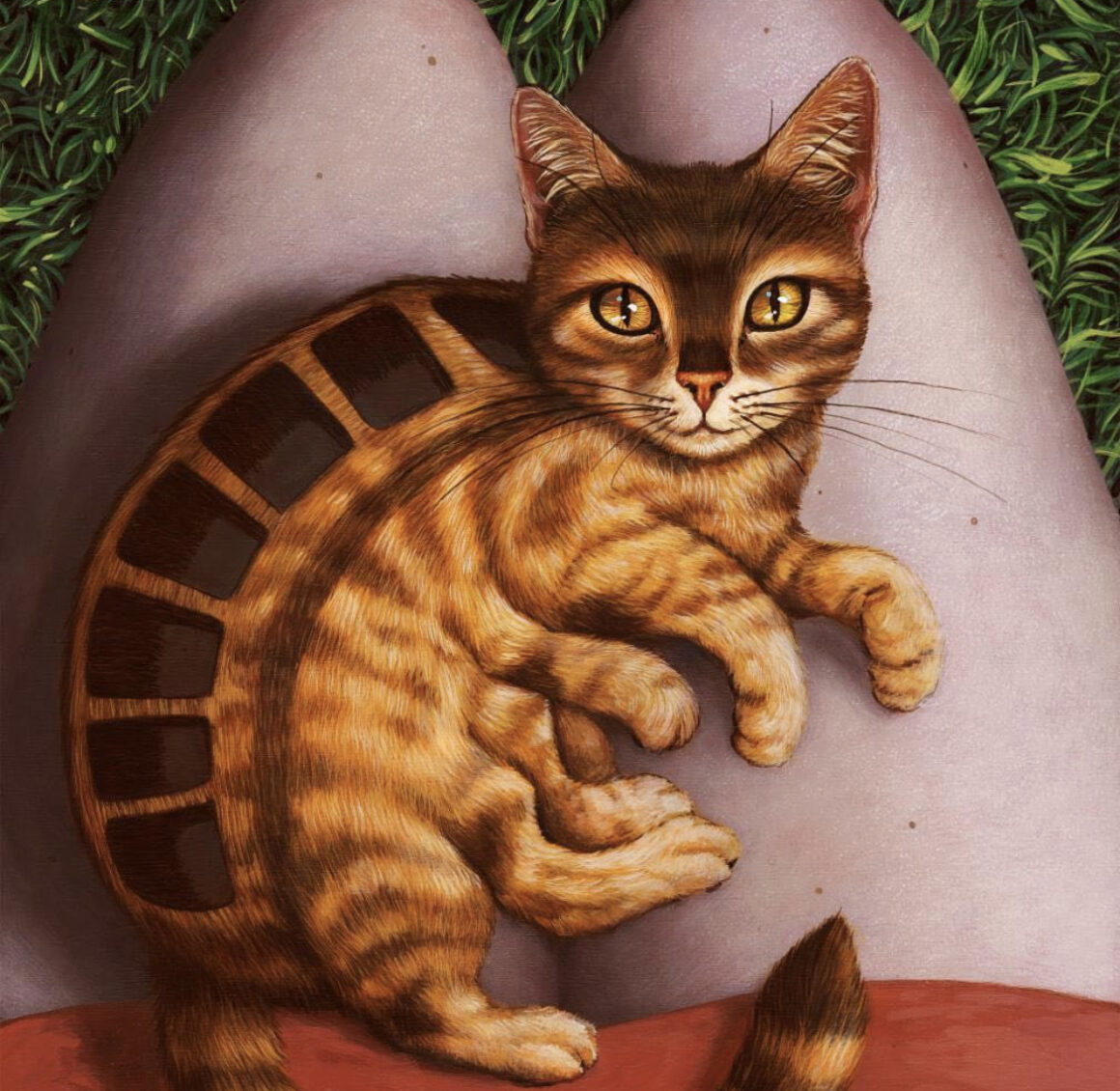 The Cats in Casey Weldon’s head