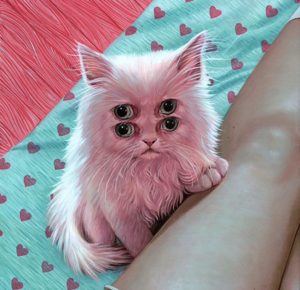 The Cats in Casey Weldon’s head